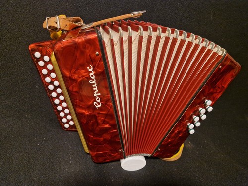 Handharmonika delicia popular - handharmonika,