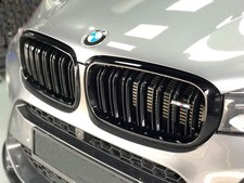 M-Performance Nierengrill für