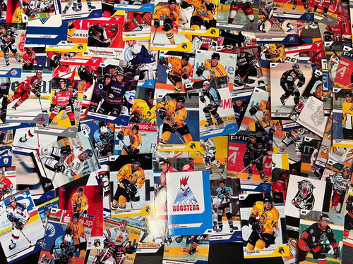 Del playercards saison 2004 - playercards,