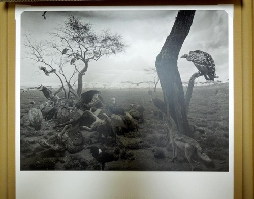 Hiroshi sugimoto - hiroshi,