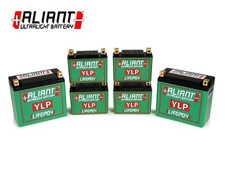 LITHIUM-AKKU ALIANT YLP14 FÜR