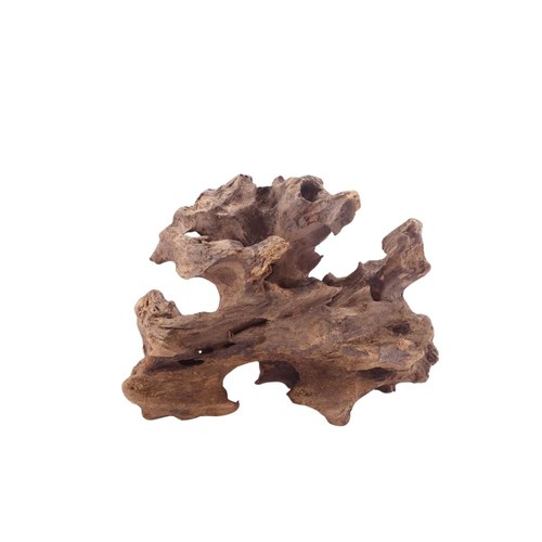 Honey comb wurzel - m,