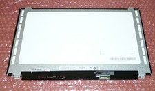 39.6cm (15.6") AU Optronics