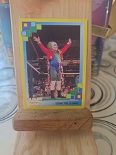 WWF Merlin Doink The Clown