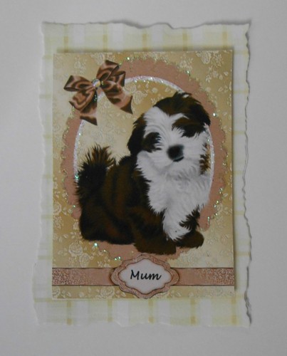 Shihtzu welpe mama - mama, topper