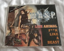 Wasp Live Animal f**k like a