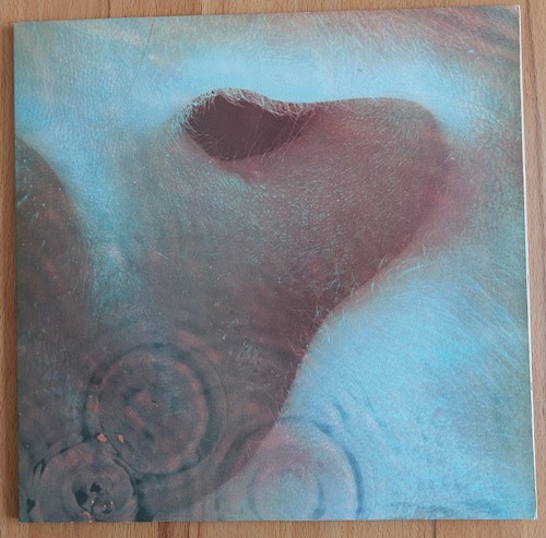 Pink floyd meddle lp - meddle, :