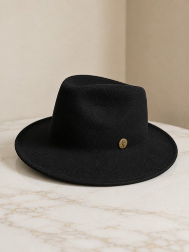 Stetson black 100 wool felt - stetson,
