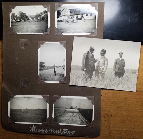 Moorkultur moor gegend - moor,