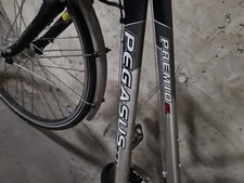 Top pegasus premio sl11 - top,
