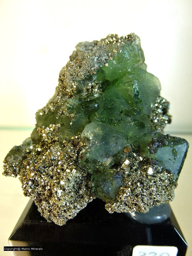 Fluorit oktaeder mit pyrit - fluorit, xx