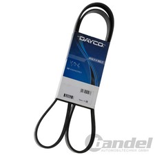 DAYCO KEILRIPPENRIEMEN