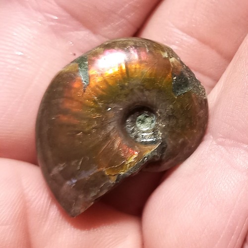 3cm rot opalisierender - 3cm,