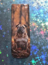 ENGLISCHE  BULLDOGGE --