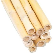 Hiss Reet Schilfrohrhalme Extra für Insektenhotel unbehandelt für Wildbienen