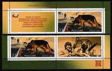 Russland Russia 2025 Hunde im Kriege dogs in war