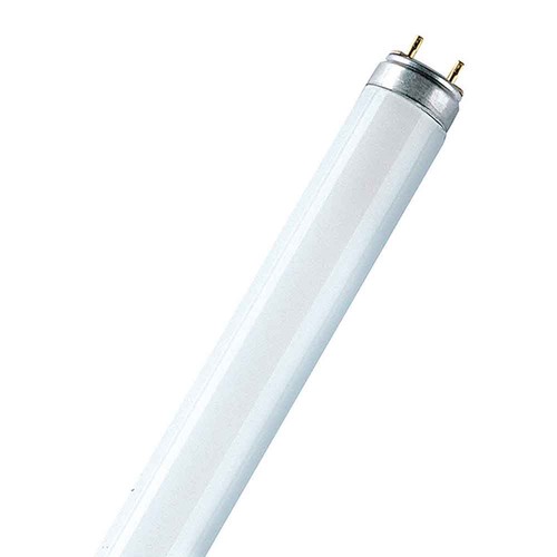 Osram lumilux - lumilux, t8