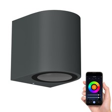 Wandleuchte ALSE Downlight für außen anthrazit Aluminium rund inkl. Smart Home