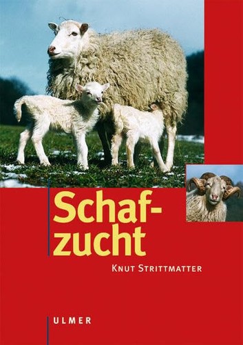 Knut strittmatter schafzucht - knut,