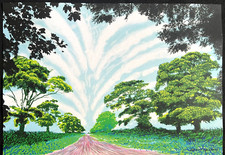 David Hockney Litografie COA