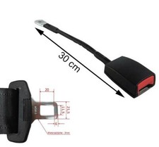 Gurtpeitsche, Gurtschloß