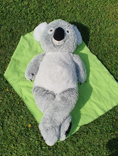Koala stoff plüschtier - &,