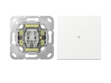 Gira System55 Kontrollschalter