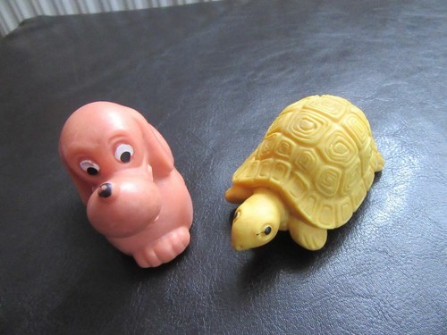 Schildkröte und hund mit - und,