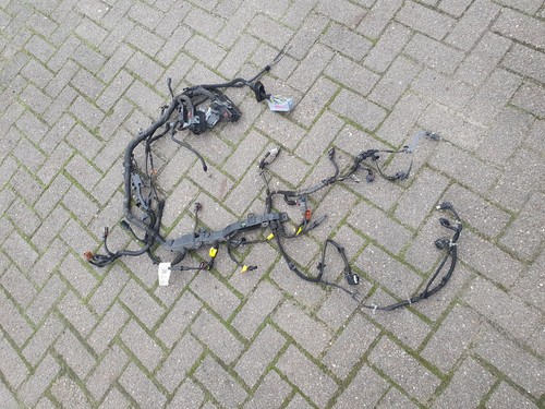 Motor kabelbaum opel b16dt - kabelbaum,