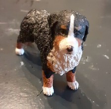 Süsse Bernhardiner Welpe