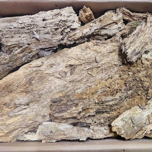 50l xxl weißfaules holz - xxl,