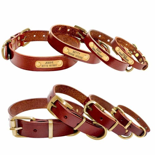 Hundehalsband mit namen - hundehalsband,
