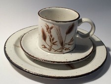 (A6) Midwinter Stonehenge WILD OATS Kaffeegedeck Tasse Teller Gras Keramik 70er