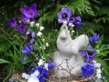 Blumengesteck Blumenkorb Huhn