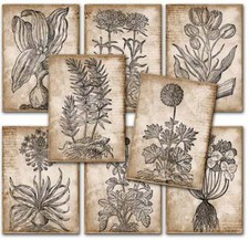 1 A4 Scrapbook Papier