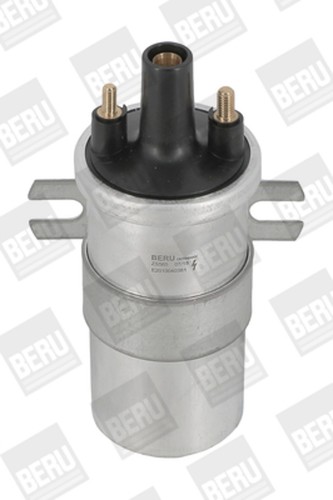Zündspule borgwarner - zündspule, (beru)