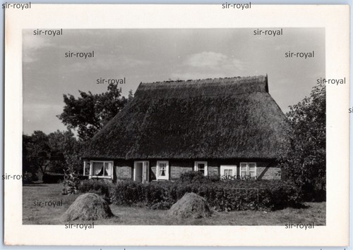 Zingst 1970er reetdach haus - reetdach,