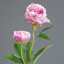 Künstliche pfingstrose rosa - pfingstrose,