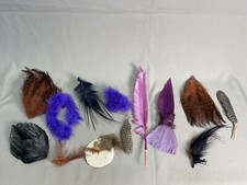 Feder Sammlung - Vogelfedern für Deko und Kleidung