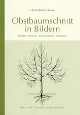 Obstbaumschnitt in Bildern |