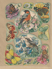 DDR Stammbuchbilder   1300