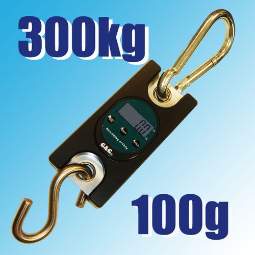 300kg 100g kranwaage - g&g,