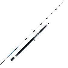 WFT Sen Sea 25lbs 2,10m