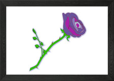 Cartoon lila Rose gerahmtes
