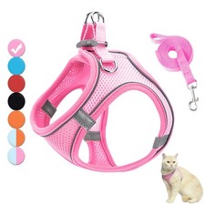 Katzen geschirr set - geschirr,