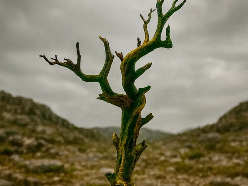 Baum bdeko gelände - baum,