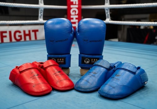 Approved boxhandschuhe kinder - approved,