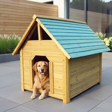 Hundehütte Hundehaus