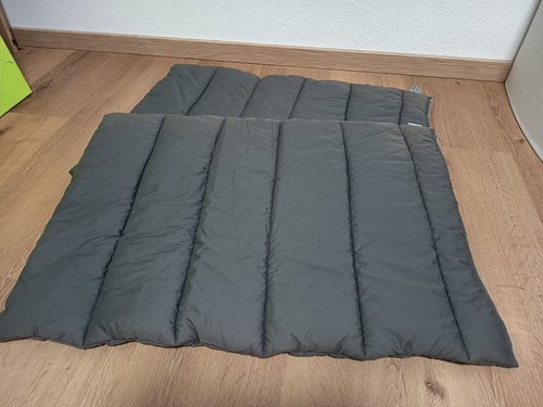 Stück equiline - 2,