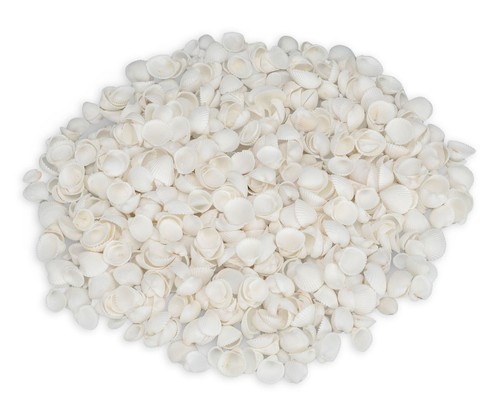 Nadeco anadara esephaca - nadeco, 0,5kg